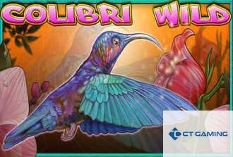 Colibri Wild